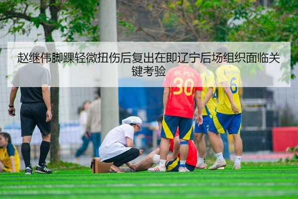 赵继伟脚踝轻微扭伤后复出在即辽宁后场组织面临关键考验